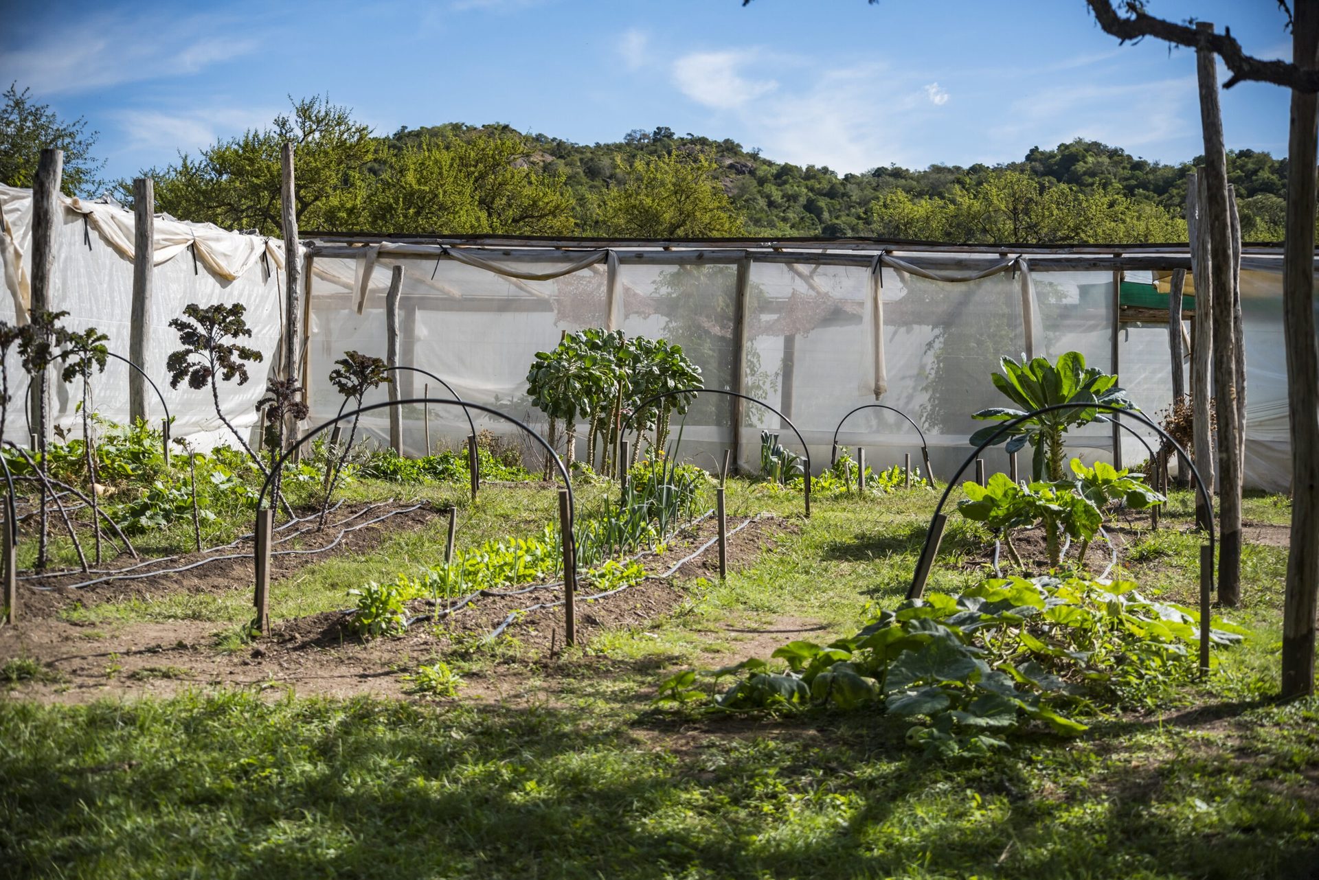Eco Escape · Viaje de egresados — 3