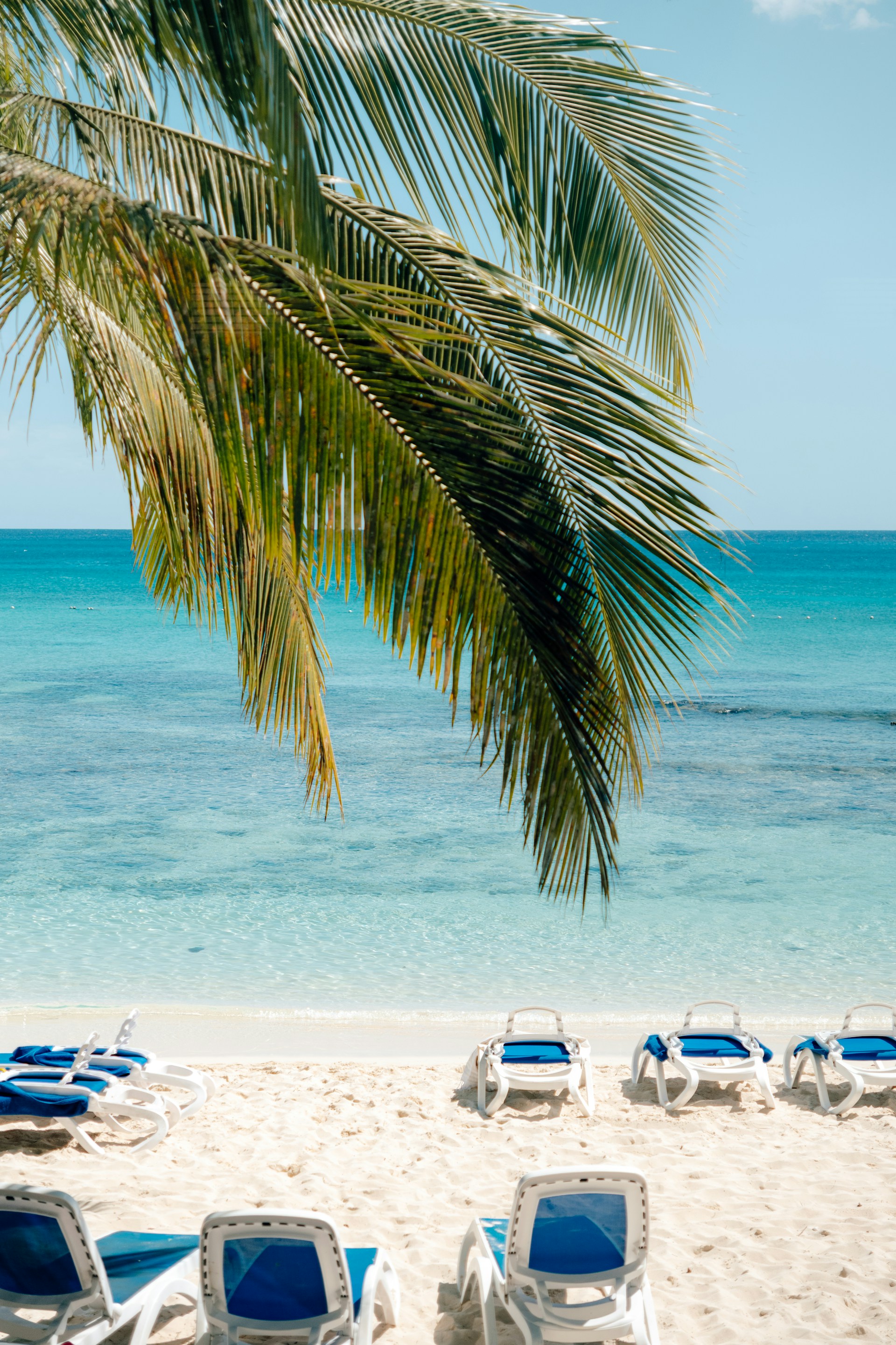 Bayahibe + Punta Cana – Verano 2027 — 3
