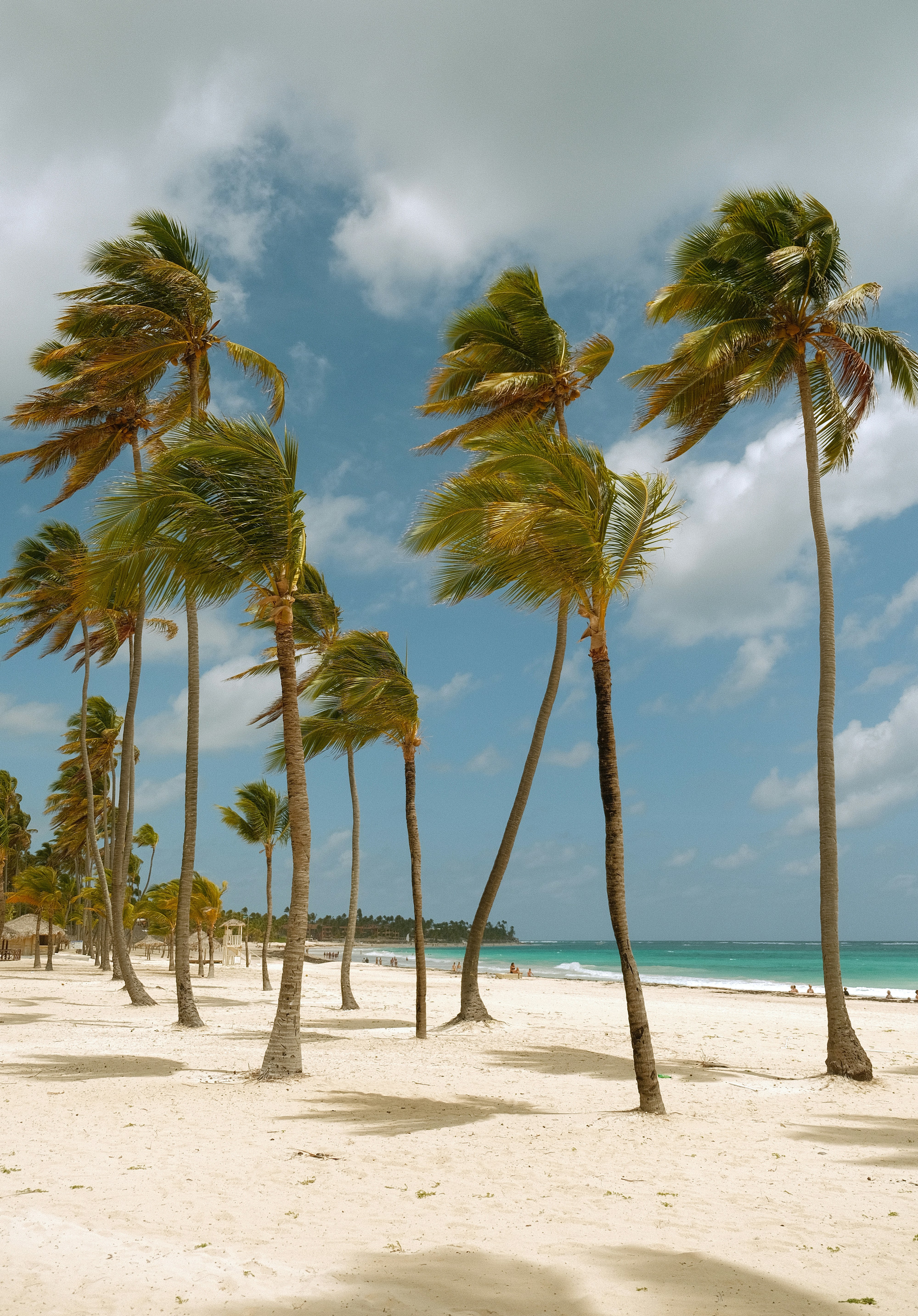 Punta Cana - Hotel Riu República — 2