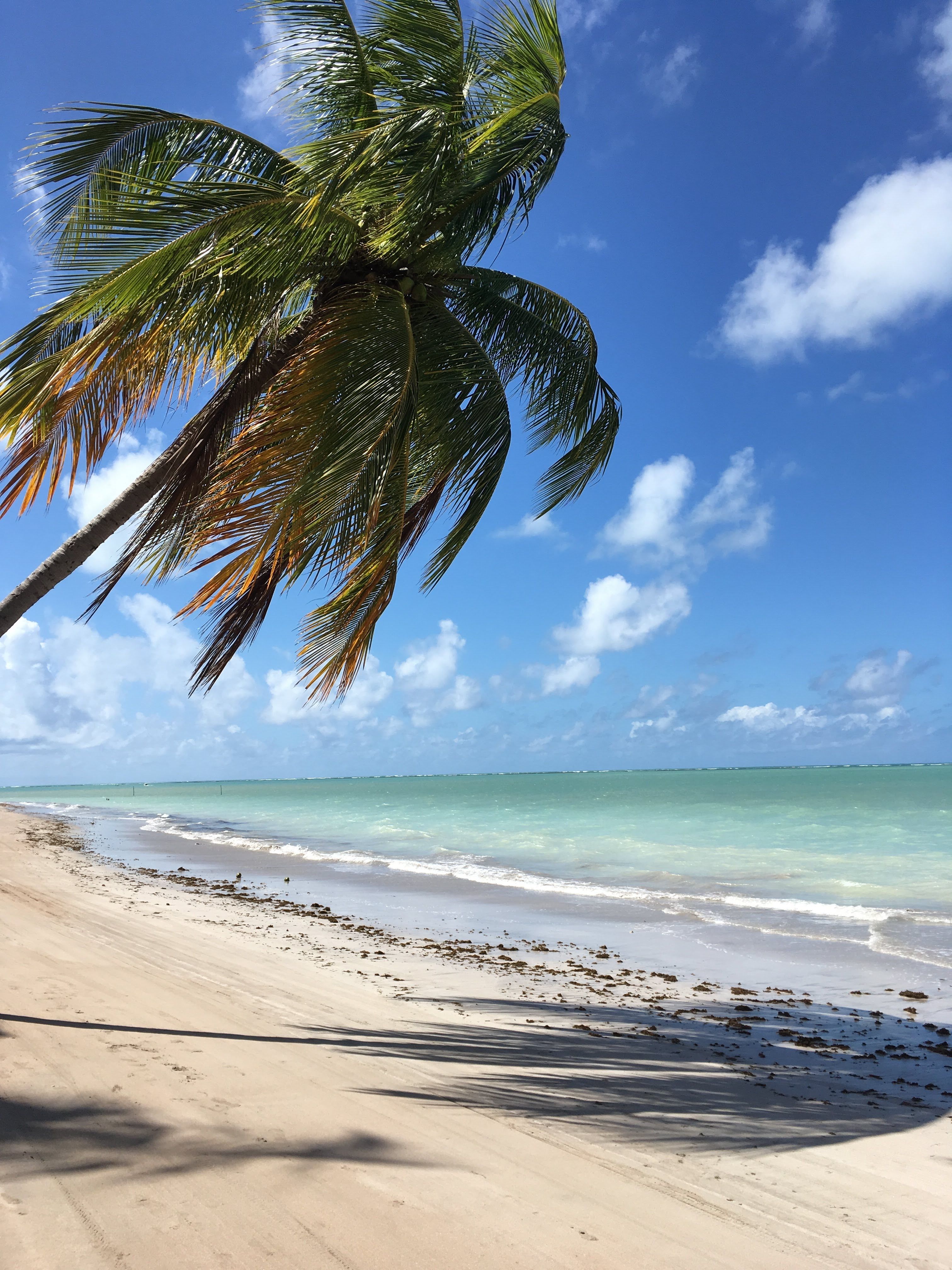 Chárter Maceió — 4