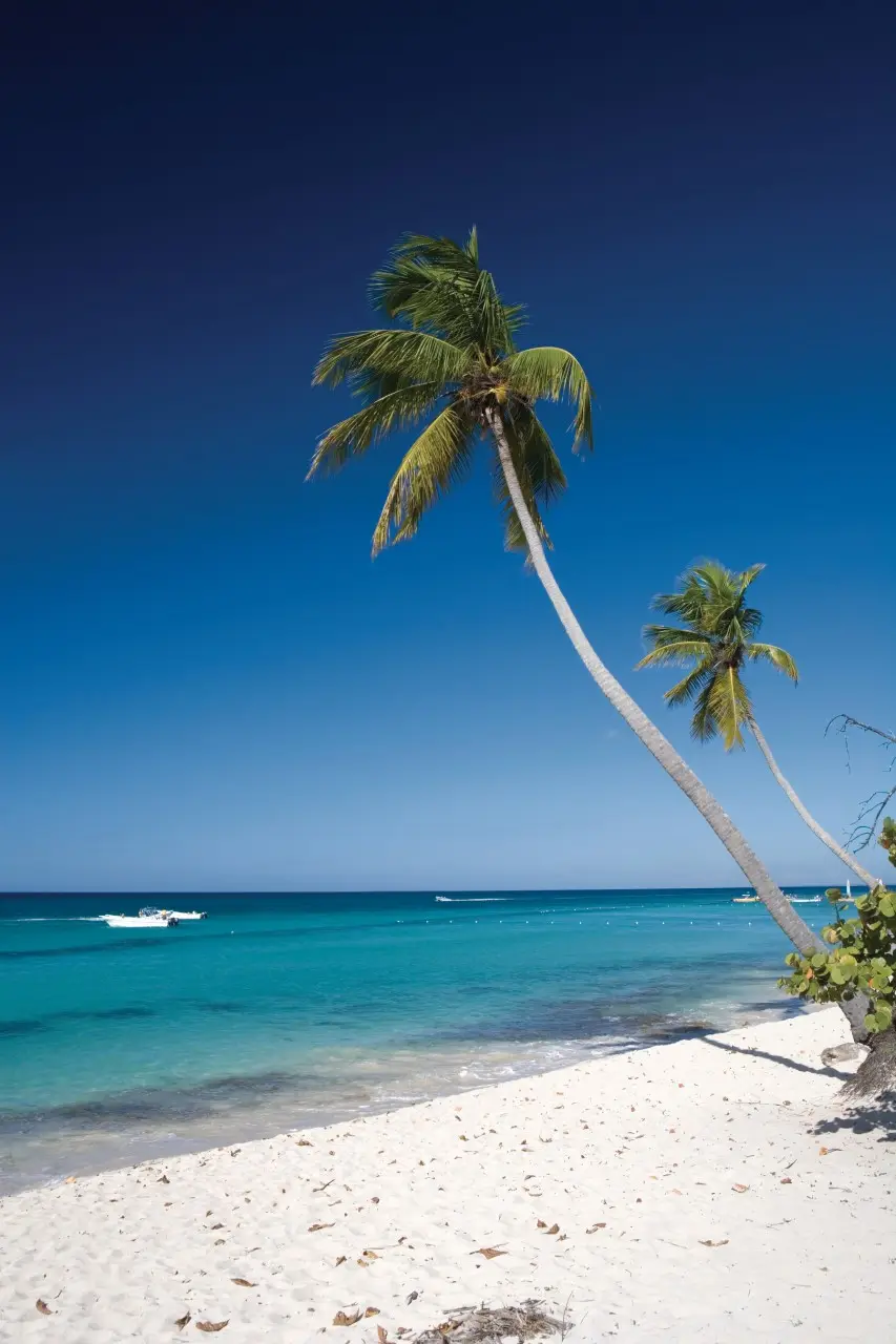 Bayahibe - Hotel Sunscape Dominicus La Romana 4* — 3