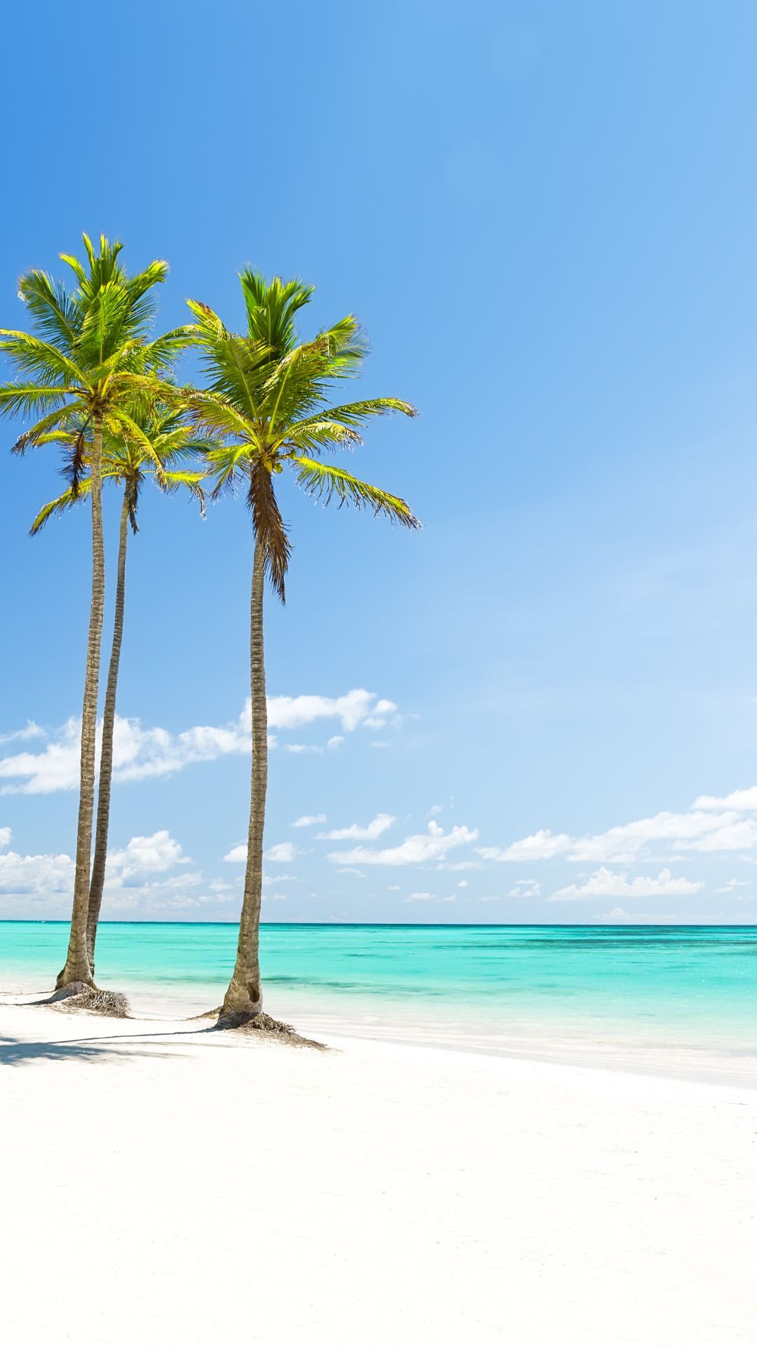 Punta Cana - All Inclusive 7 noches